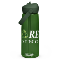Recycle Dinosaurs Flip straw water bottle
